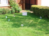 Click to Enlarge this image of a Harpole Scarecrow (2008/photo2008_455.jpg)