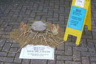 Click to Enlarge this image of a Harpole Scarecrow (2009/138.jpg)