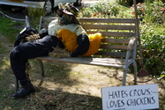 Click to Enlarge this image of a Harpole Scarecrow (2009/170.jpg)