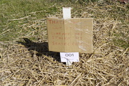 Click to Enlarge this image of a Harpole Scarecrow (2009/193.jpg)