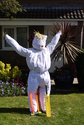 Click to Enlarge this image of a Harpole Scarecrow (2009/224.jpg)